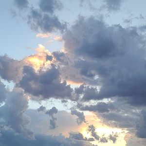 Meet your Posher, Hazel